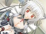  animal_ears breasts cat_ears cleavage gothic kusaka_fujino large_breasts mahiro_takeumi maid red_eyes school_festa silver_hair solo 