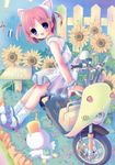  ah-kun animal_ears cat_ears dress ground_vehicle moetan motor_vehicle nijihara_ink pop scooter socks solo sundress 