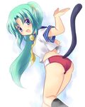  buruma higurashi_no_naku_koro_ni school_uniform solo sonozaki_mion subaru_(yachika) tail 