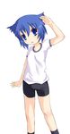  :o bike_shorts blue_eyes blue_hair blush gym_uniform highres looking_at_viewer no_nose pani_poni_dash! safi serizawa_akane short_hair simple_background solo standing white_background 