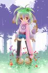  animal_ears blush_stickers child copyright_request dog_ears gloves green_hair long_sleeves mushroom red_eyes scarf solo tail thighhighs yurikuta_tsukumi 