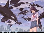  city flock flying_fish kimidorin orca original school_uniform solo 