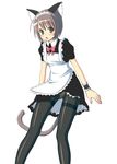  animal_ears black_legwear cat_ears copyright_request kimarin maid panties panties_under_pantyhose pantyhose pantyshot solo tail thighband_pantyhose underwear wrist_cuffs 