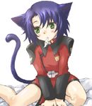  animal_ears artist_request athrun_zala cat_ears cat_tail catboy gundam gundam_seed kemonomimi_mode long_sleeves lowres male_focus mouth_hold solo tail 