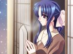  blue_hair carnelian game_cg long_hair nasu_setsuka night_demon snowing solo 