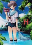  absurdres artist_request blue_sailor_collar book cloud day highres kita_high_school_uniform magazine nagato_yuki palm_tree sailor_collar scan school_uniform serafuku solo suzumiya_haruhi_no_yuuutsu tree wading water 