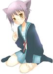  animal_ears bangs cat_ears kayune_niu kita_high_school_uniform long_sleeves nagato_yuki school_uniform short_hair socks solo suzumiya_haruhi_no_yuuutsu 