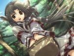  amazuyu_tatsuki animal_ears basket brown_eyes brown_hair dappled_sunlight day dog_ears dutch_angle eruruw field floating_hair forest game_cg holding jpeg_artifacts layered_sleeves leaf_(studio) long_sleeves looking_at_viewer nature open_mouth sky solo sunlight tree utawareru_mono 