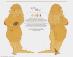  2019 anthro areola big_breasts breasts butt canid canine canis cherrikissu digital_media_(artwork) domestic_dog english_text female hair huge_breasts inverted_nipples long_hair mabel_(cherrikissu) mammal model_sheet nipples pawpads pussy saluki smile solo text 
