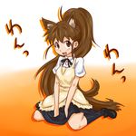  ahoge animal_ears apron brown_eyes brown_hair kneeling kurorook long_hair open_mouth ponytail skirt socks solo taneshima_popura very_long_hair working!! 