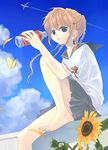  aircraft airplane barefoot bottle braid bug butterfly cloud condensation_trail copyright_request day flower insect kuga_tsukasa petals school_uniform sky solo sunflower 