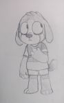 anthro barefoot bernese_mountain_dog canid canine canis clothing cub domestic_dog fur male mammal monochrome murphy_(character) perish_(artist) shirt shorts simple_background solo traditional_media_(artwork) young 