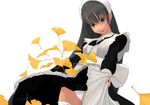  black_hair earrings frills ginkgo jewelry kiriman_(souldeep) leaf long_hair long_sleeves maid maid_headdress open_mouth original panties pantyshot skirt skirt_lift smile solo thighhighs underwear white_background white_legwear white_panties 