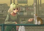  animal bag bangs blonde_hair bra_strap can cat chair closed_mouth earrings eyebrows_visible_through_hair fence hair_intakes holding holding_can jewelry long_sleeves looking_away lyrical_nanoha mahou_shoujo_lyrical_nanoha mahou_shoujo_lyrical_nanoha_a's nakayama_yukiji outdoors petting plastic_bag pole purple_eyes shamal short_hair signpost smile soda_can solo train_station tree upper_body vending_machine 