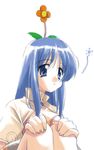  blue_hair fancy_flower long_hair mage_(ragnarok_online) ragnarok_online solo umekichi 