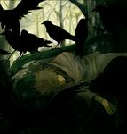  artist_request bird blanket brown_hair copyright_request flock forest long_sleeves male_focus nature raven_(animal) solo 