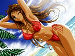  arms_up bikini breasts brown_eyes brown_hair covered_nipples dark_skin day game_cg large_breasts long_hair one_eye_closed private_garden side-tie_bikini solo sugimoto_anzu swimsuit tetratech uehara 