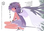  ankle_ribbon barefoot copyright_request demon_girl horns long_hair no_panties purple_hair red_eyes ribbon skirt solo sumaki_shungo tail topless wings 