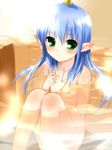  bath blue_hair flat_chest green_eyes hima horn momotarou_densetsu nipples nude pointy_ears solo yasha 