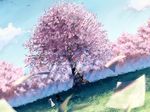  artist_request brown_hair cherry_blossoms clouds grass landscape lying paper seifuku short_hair sitting sky source_request tree wallpaper wind windy 