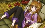  animal_ears brown_hair horo long_hair red_eyes spice_and_wolf tail wolfgirl 