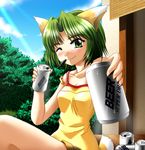  alcohol animal_ears artist_request beer can cat_ears cloud copyright_request day fang green_eyes green_hair lowres one_eye_closed sky smile solo 