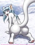  1girl aftersex animal_ears anus ass barefoot blue_hair blush breasts cum cum_in_pussy dr_comet feet furry highres kemono nude outdoors outside pawpads paws pussy pussy_juice smile snow soles solo spread_legs squat squatting tail toes tongue uncensored 