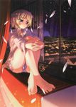  absurdres androgynous barefoot blonde_hair blue_eyes braid chris_northfield cityscape dress_shirt feet highres jewelry koume_keito necklace night panties petals princess_waltz reflection reverse_trap shirt single_braid solo star toenails toes underwear windowsill 