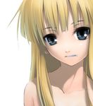  blonde_hair blue_eyes evangeline_a_k_mcdowell fang long_hair mahou_sensei_negima! nilitsu portrait solo 