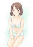  blush bra brown_eyes brown_hair fujikawa_yuuka hair_ornament hairclip lingerie panties short_hair smile solo takahashi_mugi tokimeki_memorial tokimeki_memorial_only_love underwear underwear_only 