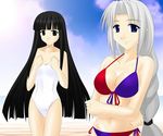  bangs bare_shoulders bikini black_eyes black_hair blue_eyes braid cloud crossed_arms day engo_(aquawatery) eyebrows eyebrows_visible_through_hair hands_on_own_chest houraisan_kaguya long_hair multiple_girls silver_hair sky swimsuit touhou very_long_hair white_swimsuit yagokoro_eirin 