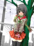  bare_tree black_legwear blush box chain-link_fence fence gakky gift gift_box green_scarf holding holding_gift incoming_gift looking_at_viewer miniskirt original outdoors pleated_skirt scarf school_uniform skirt solo thighhighs tree valentine zettai_ryouiki 