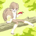  animal_ears barefoot bi-nyo blush breasts casual_nudity claws cute feet female flat_chest fruit furry mammal nature nipples nude outdoors paws pukao rodent simple_background sitting smile solo squirrel tail toes tree wood zenra 