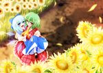  ascot blue_eyes blue_hair bow carrying cirno dress field flower flower_field green_hair hair_bow hazuki_kasane kazami_yuuka multiple_girls open_mouth petals plaid plaid_skirt plaid_vest princess_carry red_eyes short_hair skirt skirt_set smile sunflower touhou vest wings 