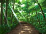  copyright_request forest light_rays nature no_humans path road scenery shadow still_life sunbeam sunlight tree 