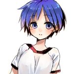  74_(teduka) blue_eyes blue_hair face gym_uniform matsubara_aoi raglan_sleeves short_hair solo to_heart 