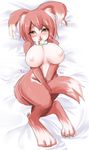  animal_ears artist_request bed big_breasts blush breasts collar covering covering_self female furry homura homura_(haku89) huge_breasts lying nipples on_back solo tail yaise 