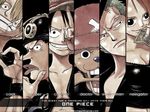  anime hat monkey_d_luffy nami nami_(one_piece) oda_eiichiro oda_eiichirou one_piece roronoa_zoro sanji straw_hat tony_tony_chopper usopp 