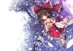  ascot black_hair bow detached_sleeves gohei hair_bow hakurei_reimu long_hair nature north_abyssor ofuda red_eyes short_hair solo touhou tree water 