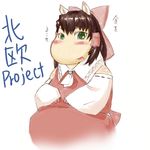  ascot blush bow brown_hair cosplay detached_sleeves green_eyes hair_bow hair_tubes hakurei_reimu hakurei_reimu_(cosplay) michi_maru moomin short_hair solo touhou translated 