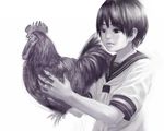  bird chicken greyscale httr monochrome original rooster school_uniform serafuku short_hair solo 