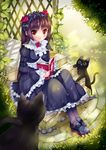  absurdres black_cat black_hair black_legwear blush book brown_eyes cat dress flower gokou_ruri gothic_lolita headband highres leaf lolita_fashion long_hair open_mouth ore_no_imouto_ga_konna_ni_kawaii_wake_ga_nai pantyhose red_flower red_rose rose sitting solo usagihime 