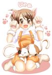  animal_ears brown_eyes brown_hair calico cat cat_ears fang kurumi_(tukihina) kyon_no_imouto paws shamisen_(suzumiya_haruhi) short_hair side_ponytail solo suzumiya_haruhi_no_yuuutsu 