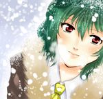  bad_id bad_pixiv_id bajinappo blush coat from_above fur_trim green_hair kazami_yuuka light_smile lips looking_up portrait red_eyes snow solo touhou 