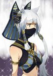  amami_amayu animal_ears cat_ears egyptian face_mask jpeg_artifacts long_hair mask monster_collection solo white_hair yellow_eyes 