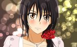  ayuzawa_misaki kaichou_wa_maid_sama tagme vector 