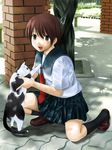  bad_id bad_tinami_id brown_eyes brown_hair cat hitori_(htr_t) kneeling original school_uniform serafuku solo 