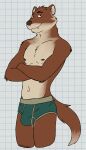 anthro artemis_(remember_the_flowers) bedroom_eyes biped black_eyes briefs briefs_only brown_body brown_eyebrows brown_fur bulge clothed clothing crossed_arms digital_media_(artwork) eyebrows fur green_briefs green_clothing green_underwear hi_res looking_at_viewer male male_anthro mammal multicolored_clothing multicolored_underwear mustelid musteline narrowed_eyes navel nipples pink_inner_ear portrait red_nipples red_nose remember_the_flowers seductive slim solo tan_body tan_fur tan_inner_ear three-quarter_portrait toothy_grin topless true_musteline underwear underwear_only unsafescapewolf weasel whiskers white_sclera