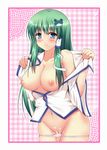  bad_id bad_pixiv_id blue_eyes bottomless breasts cum cumdrip detached_sleeves frog green_hair hair_ornament kochiya_sanae large_breasts long_hair pussy second_heaven snake solo touhou uncensored undressing 