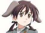  animal_ears brown_eyes brown_hair close-up gertrud_barkhorn lielos military military_uniform short_hair solo strike_witches twintails uniform world_witches_series 